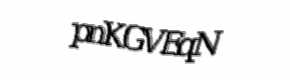 Security check image, please type the characters shown